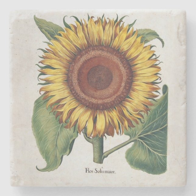 Sunflower Vintage Damask Flower Art Stone Coaster (Front)