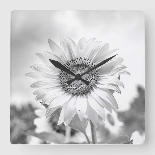 Sunflower Wall Art, Gifts, Clock, Sunflower Gifts Square Wall Clock (Front)