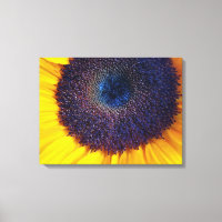 Sunflower with Blue Centre Closeup Canvas Art