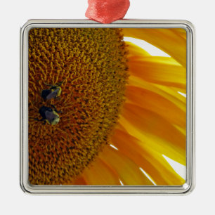 Sunflower with Bumblebees Metal Ornament