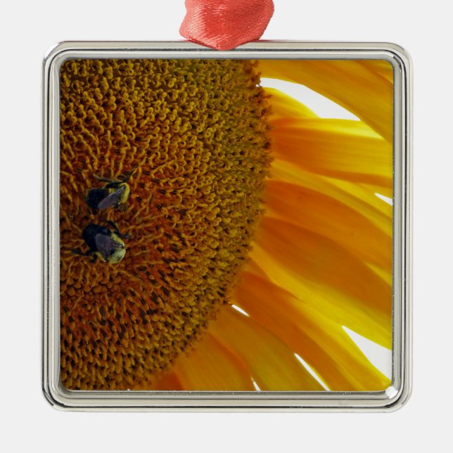 Sunflower with Bumblebees Metal Ornament (Front)