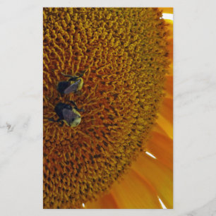 Sunflower with Bumblebees Stationery