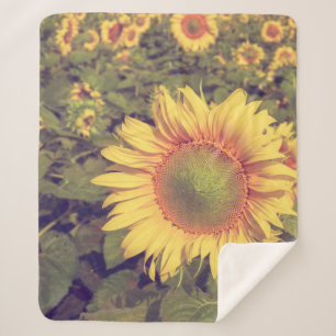 Sunflower with filter effect retro vintage styleag sherpa blanket