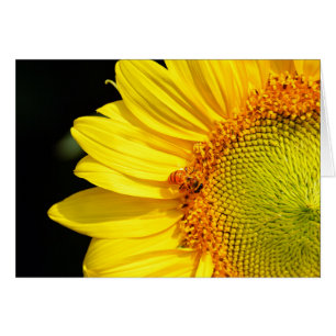 Sunflower With Honeybee Blank Card