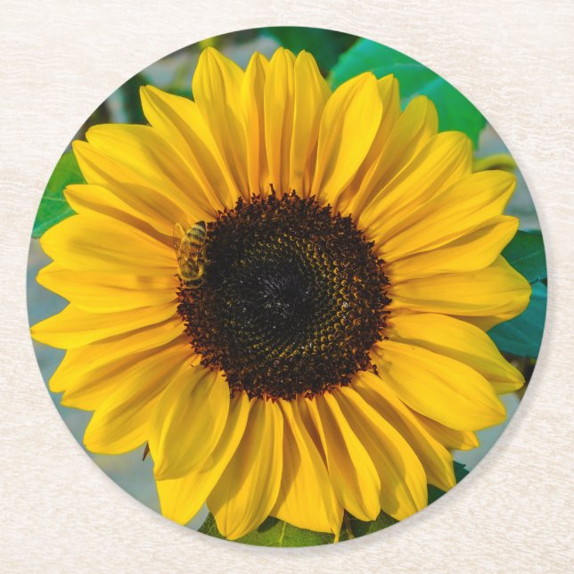 Sunflower with Honeybee Round Paper Coaster (Front)