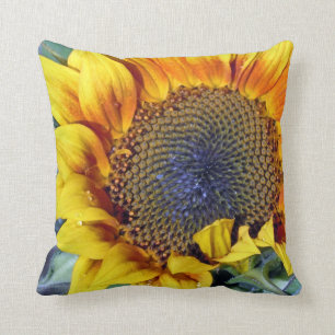 Sunflower with Water Droplets Throw Pillow