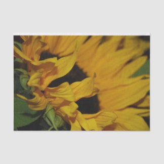 Sunflower Wrapping Paper
