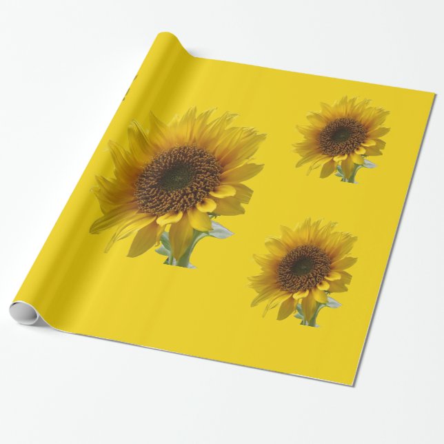 Sunflower Wrapping Paper (Unrolled)