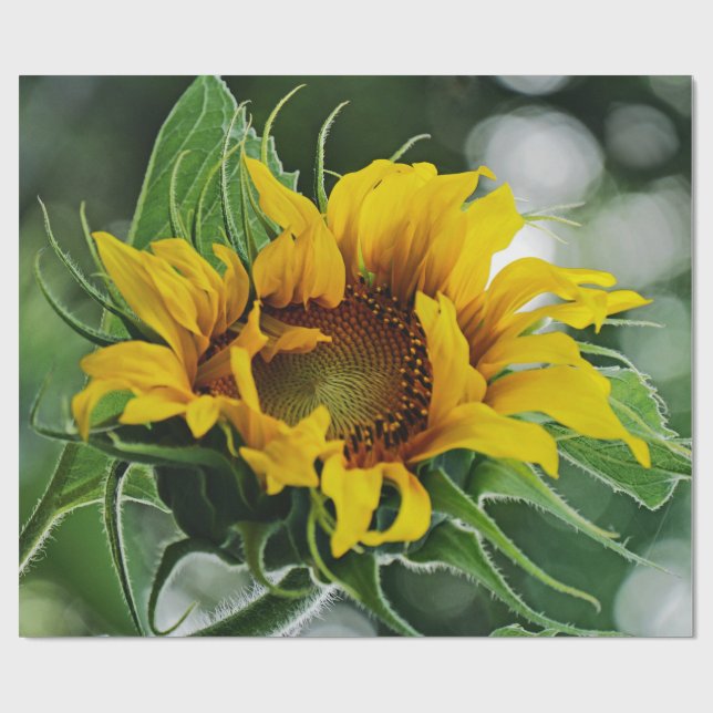 Sunflower Wrapping Paper (Flat)