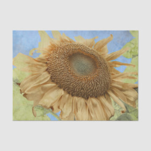 Sunflower Yellow Blue Boho Rustic Country Floral Tissue Paper