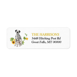 Sunflower Yellow Dalmatian
