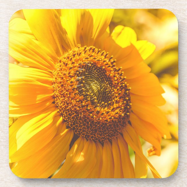 Sunflower Yellow Flower Coaster (Front)