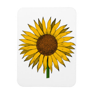 Sunflower Yellow Flower Magnet