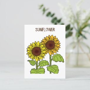 Sunflower Yellow Postcard