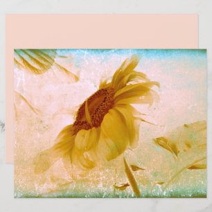 Sunflower Yellow Sepia Vintage Antique Texture