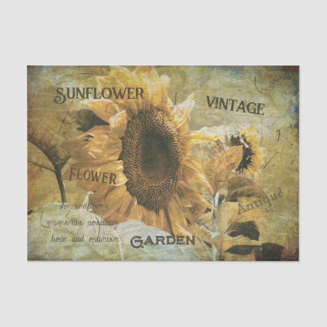 Sunflower Yellow Vintage Texture Ephemera Tissue Paper (Front)