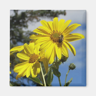 sunflowernbumblebee magnet