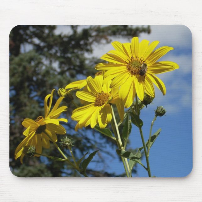 sunflowernbumblebee mouse pad (Front)