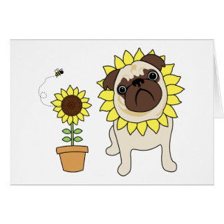 sunflowerpug