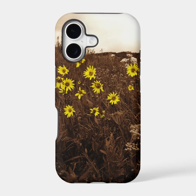 Sunflowers (Back)