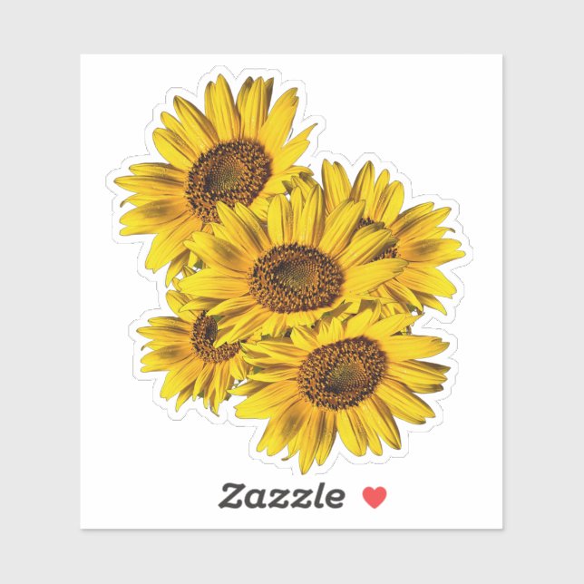 Sunflowers  (Sheet)