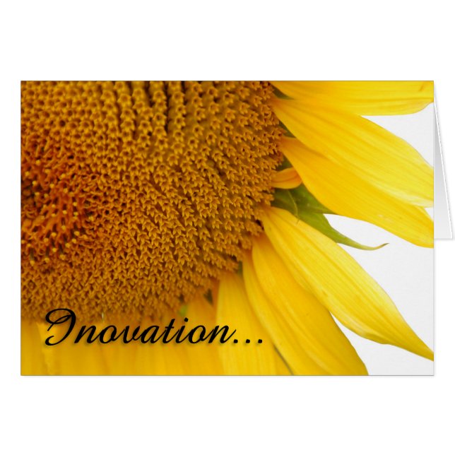 Sunflowers (Front Horizontal)