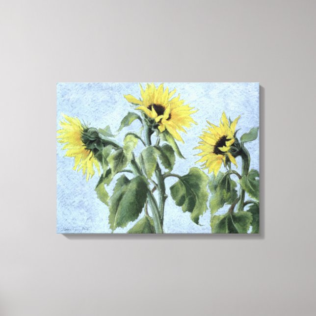 Sunflowers 1996 canvas print (Front)