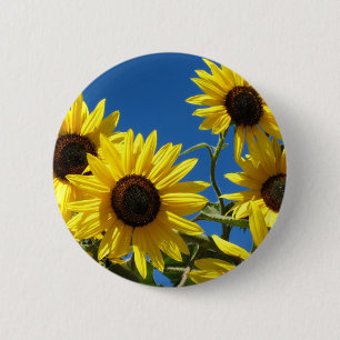 Sunflowers 2 Inch Round Button
