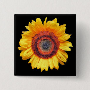 SUNFLOWERS 2 INCH SQUARE BUTTON
