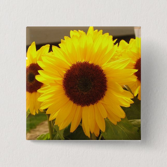 Sunflowers 2 Inch Square Button (Front)