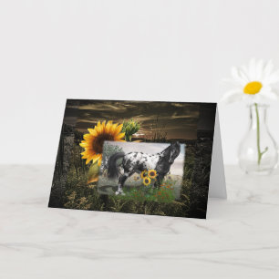 Sunflowers and Appaloosa Horse Card