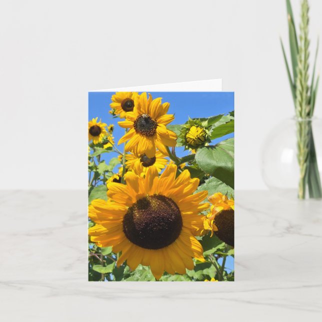 Sunflowers Announcement (Front)