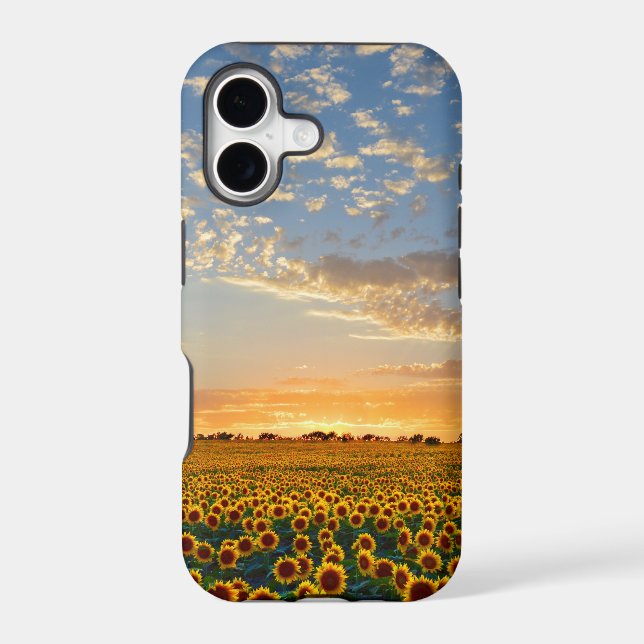 Sunflowers at Sunset (Back)