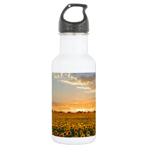 Sunflowers at Sunset 532 Ml Water Bottle