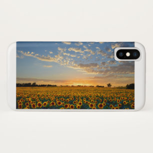 Sunflowers at Sunset Case-Mate iPhone Case