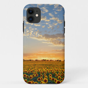 Sunflowers at Sunset iPhone 11 Case