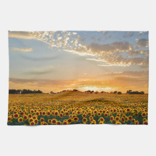 Sunflowers at Sunset Kitchen Towel