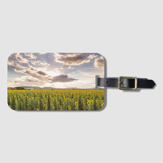 Sunflowers at Sunset Luggage Tag (Front Horizontal)