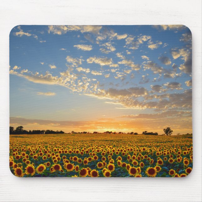 Sunflowers at Sunset Mouse Pad (Front)