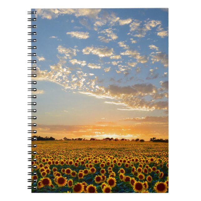 Sunflowers at Sunset Notebook (Front)