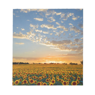 Sunflowers at Sunset Notepad