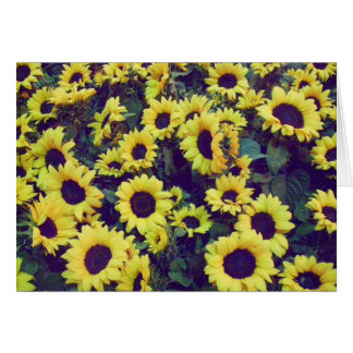 Sunflowers - Blank Card