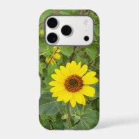 Sunflowers Blowing In The Wind,