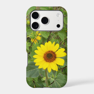 Sunflowers Blowing In The Wind,
