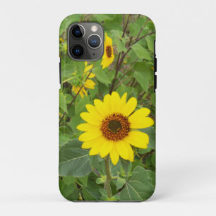 Sunflowers Blowing In The Wind, iPhone 11 Pro Case