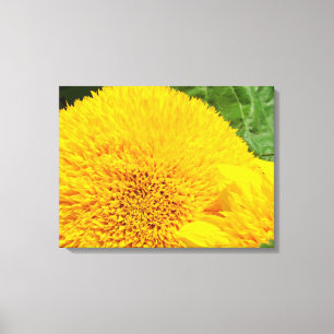 Sunflowers Canvas Art Prints panels Yellow Flowers