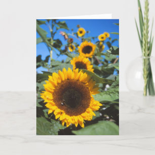 Sunflowers card