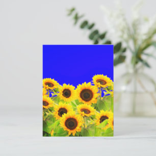 Sunflowers Card Ukraine Flag Colours - Support