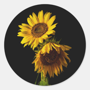 Sunflowers  classic round sticker