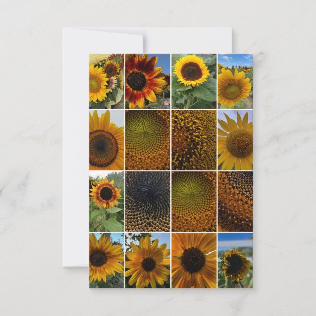 Sunflowers Close Up Collage  Card (Front)